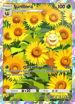 Sunflora