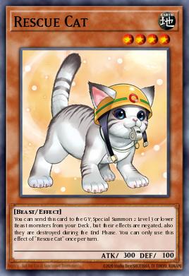 Rescue Cat